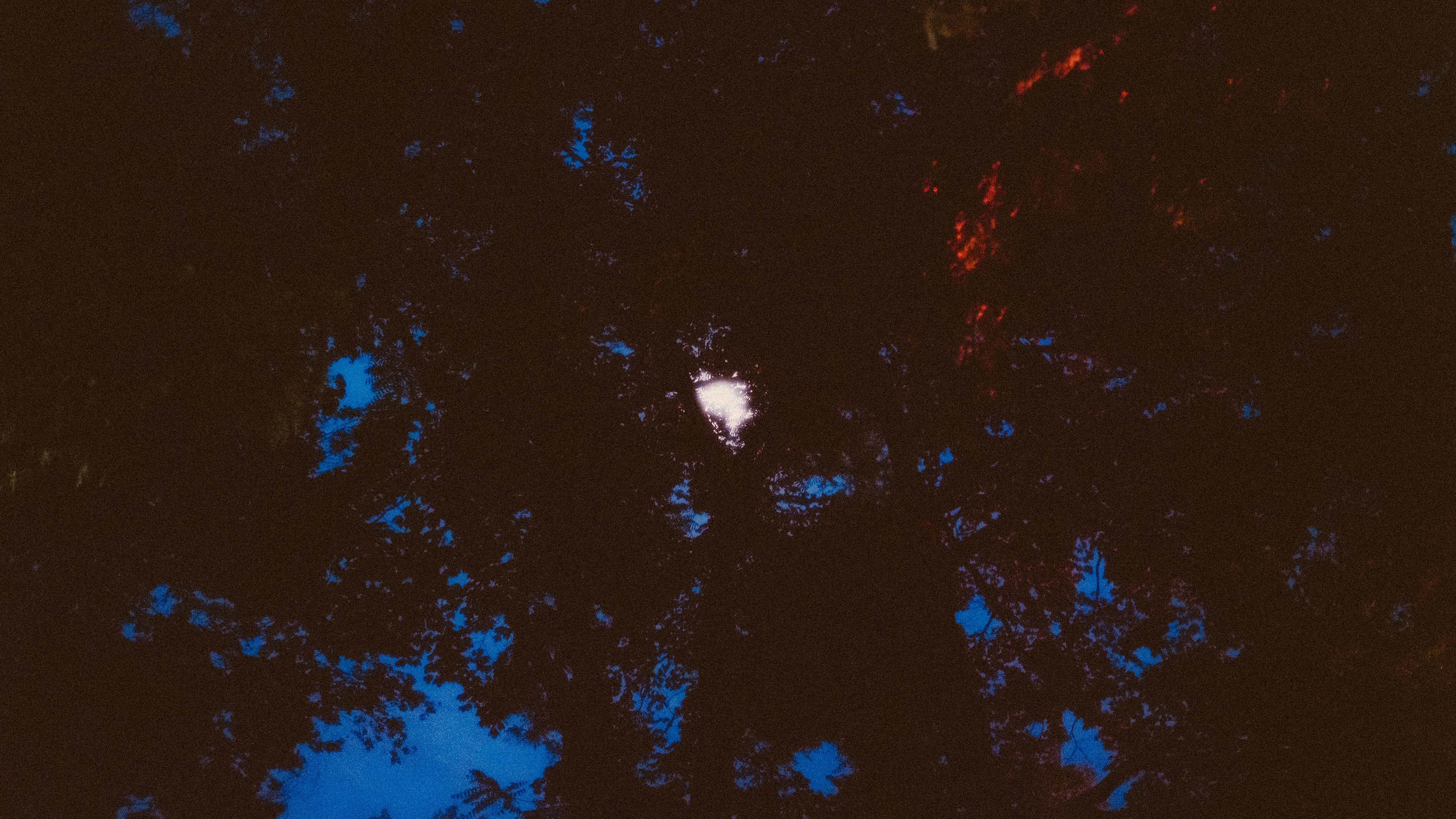 Moonlight shining through tree branches