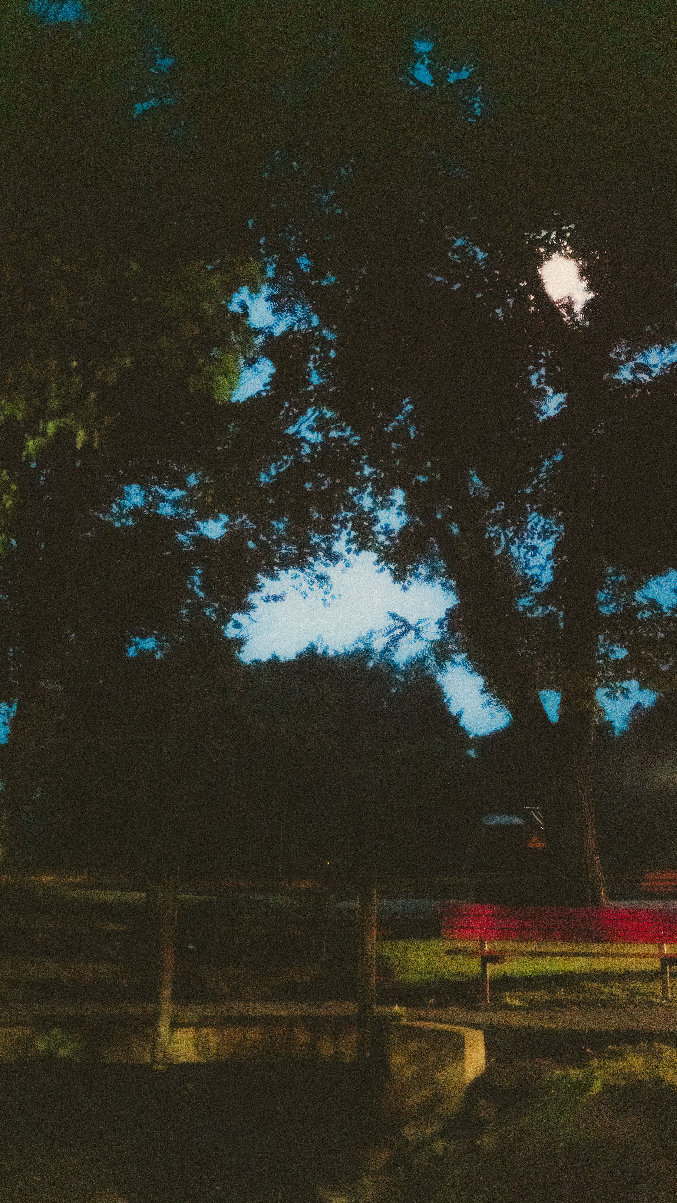 A dark park at night