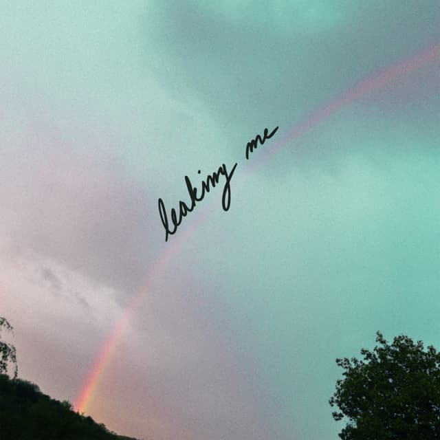 "Leaking Me" artwork